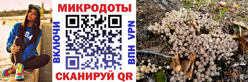 Купить где  Воркута  Галлюциногенные грибы прущие грибы 